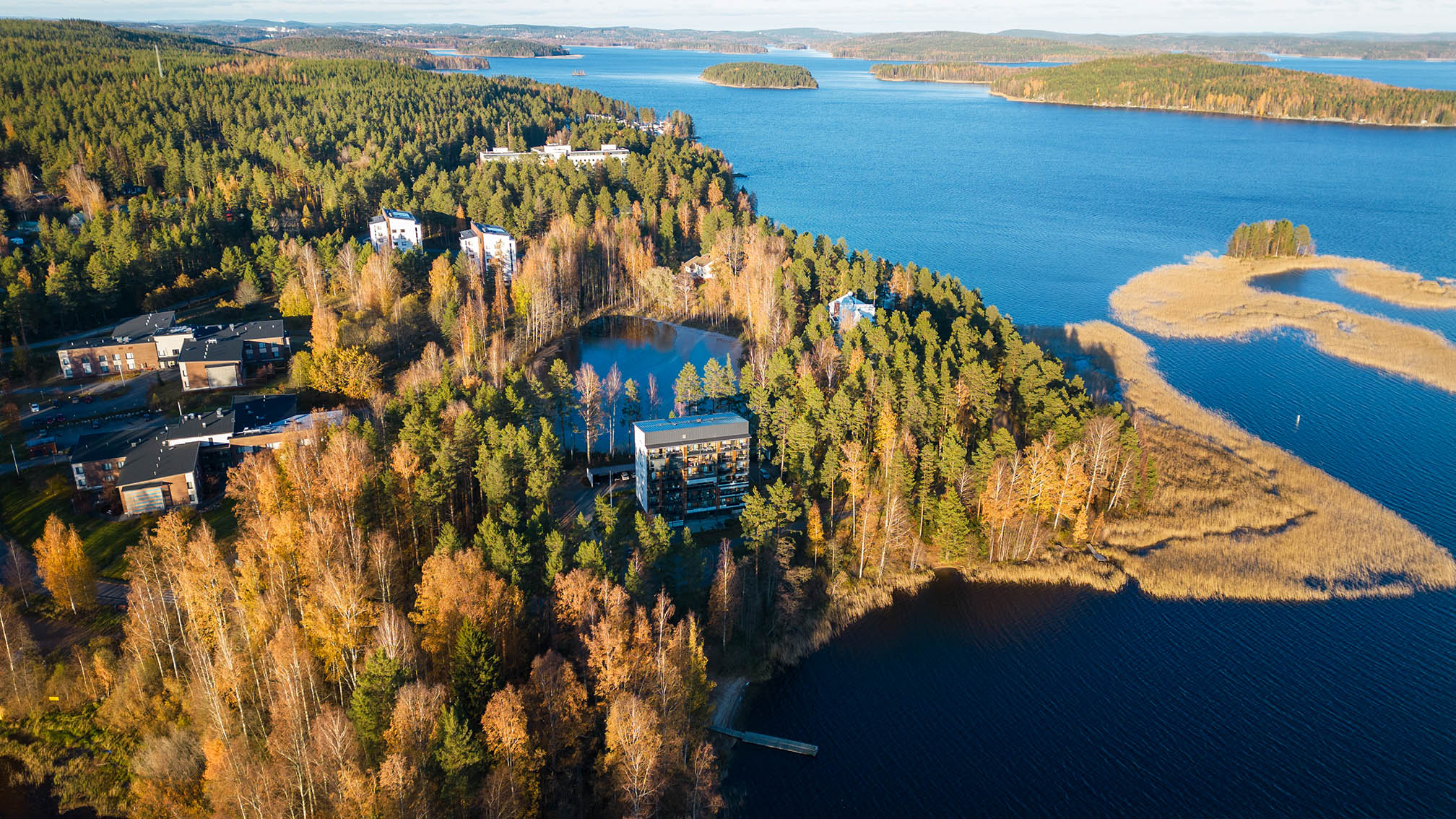 Vitapoliksen alue etelästä päin.